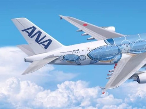 Ana A380 Tokio Honolulu Turtle 4 3