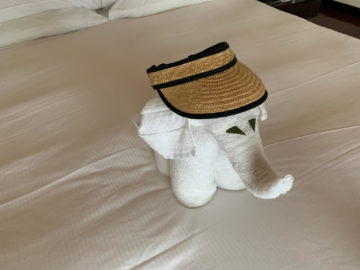 hilton seychelles labriz beach villa bett elefant