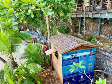 hilton seychelles northolme strand rezeption