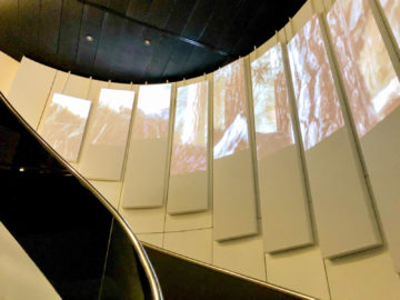 Swiss Alpine Lougne Zurich Treppe Zur Lounge