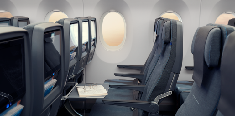 Sas A350 Economy Class Copyright