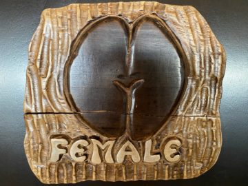 Air Seychelles Salon Vallee De Mai Premium Lounge Female Wc