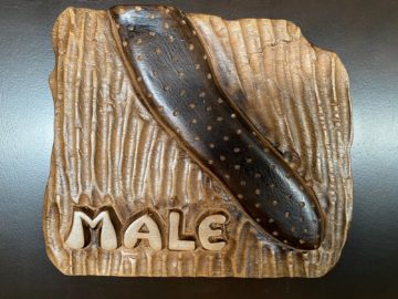 Air Seychelles Salon Vallee De Mai Premium Lounge Male Wc