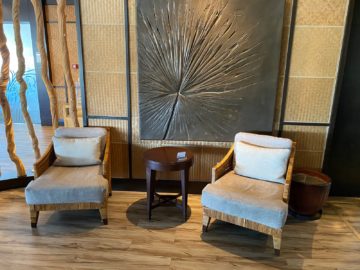Air Seychelles Salon Vallee De Mai Premium Lounge Sessel