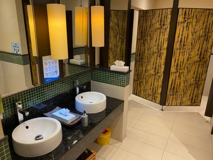 Air Seychelles Salon Vallee De Mai Premium Lounge Wc