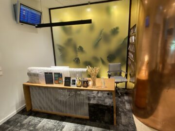 Airlounge Tirana Empfang