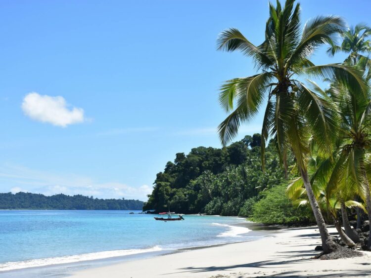 Isla Coiba Panama Karibik Palme Meer Strand