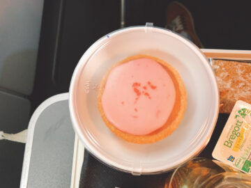 Sas Premium Economy Dessert 1