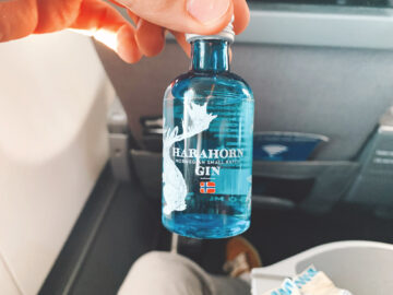 Sas Premium Economy Gin 1