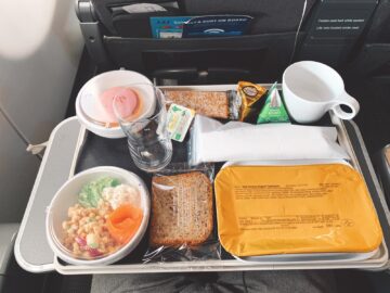 Sas Premium Economy Hauptgang 2