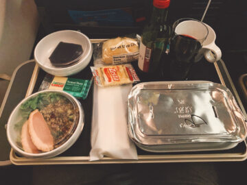 Sas Premium Economy Hauptgang 4