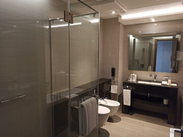Hyatt Regency Dubai Creek Heights Bad Eingang