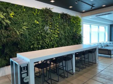 Air New Zealand Auckland International Lounge Wintergarten