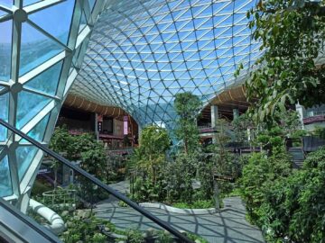 Flughafen Doha The Orchard 3