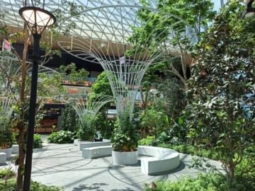 Flughafen Doha The Orchard 5