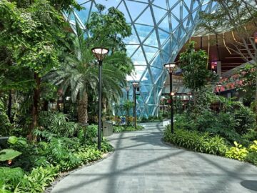 Flughafen Doha The Orchard 6