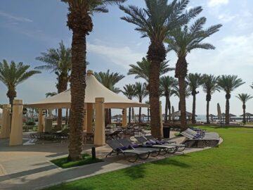 Intercontinental Doha Beach Garten Palme