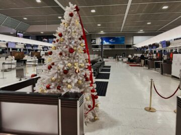 Japan Airlines First Class Check In Tokyo Narita 2