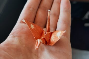 Japan Airlines First Class Origami 1