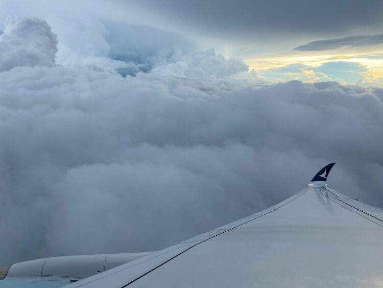 Cathay Pacific Premium Economy Airbus A350 900 Wing View Landung