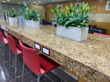 Review American Airlines International First Class Lounge London Stecker Pflanzen