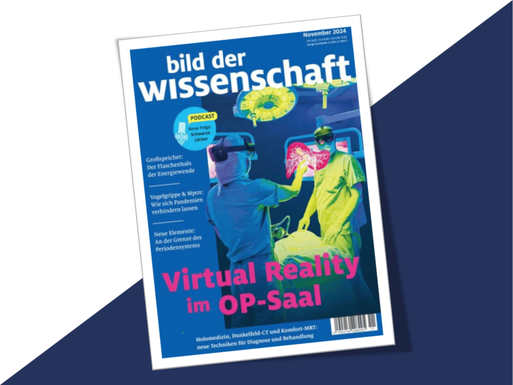 Bild Der Wissenschaft November 2024