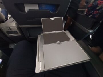 American Airlines Boeing 737 800 Domestic First Class Essen Tisch 1