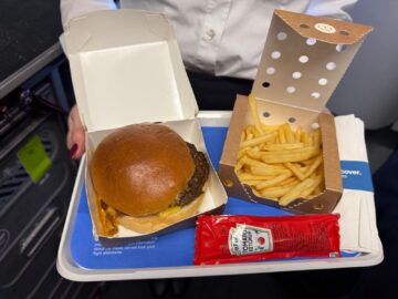 Discover Airlines Smashburger Pommes Copyright