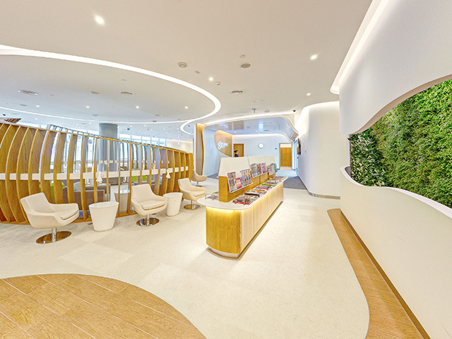 Skyteam Dubai Lounge Copyright