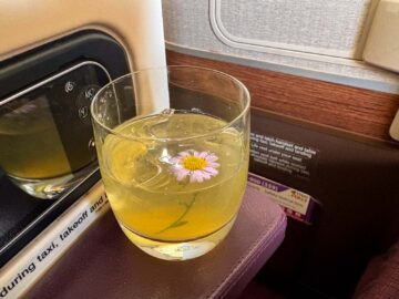 Thai Airways Airbus A350 900 Royal Silk Business Class Cocktail