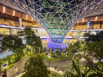 Flughafen Doha Qatar The Garden 3
