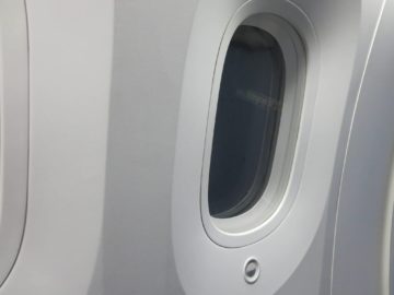 ana business class boeing 787 fenster 1