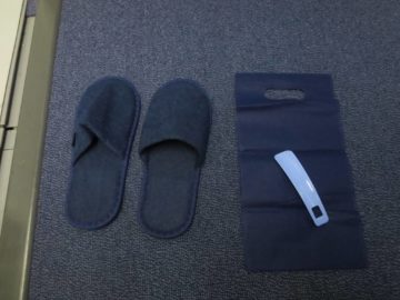 ana business class boeing 787 slipper