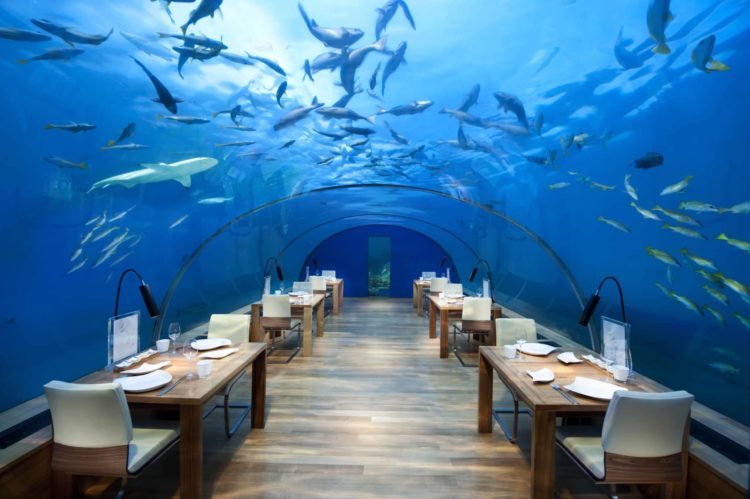 conrad maldives rangali ithaaundersearestaurant2 hr
