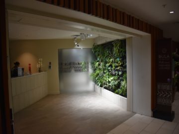 fiji airways premier lounge nadi anmeldung