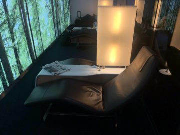 lufthansa senator lounge frankfurt a liegen
