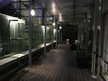 singapore krisflyer gold lounge terminal3 racuherbereich